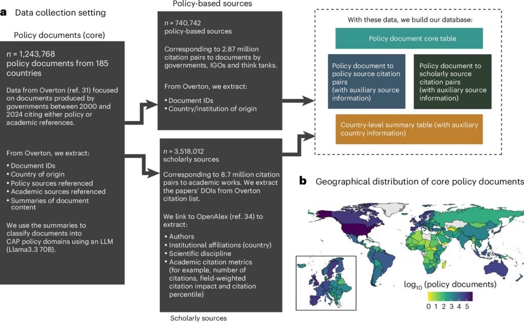 Infographic comparing the purpose, authority, language, and publication speed of diplomatic statements, policy documents, and media summaries.
